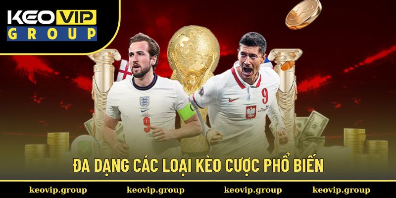 Đa dạng các loại kèo cược phổ biến cho hội viên