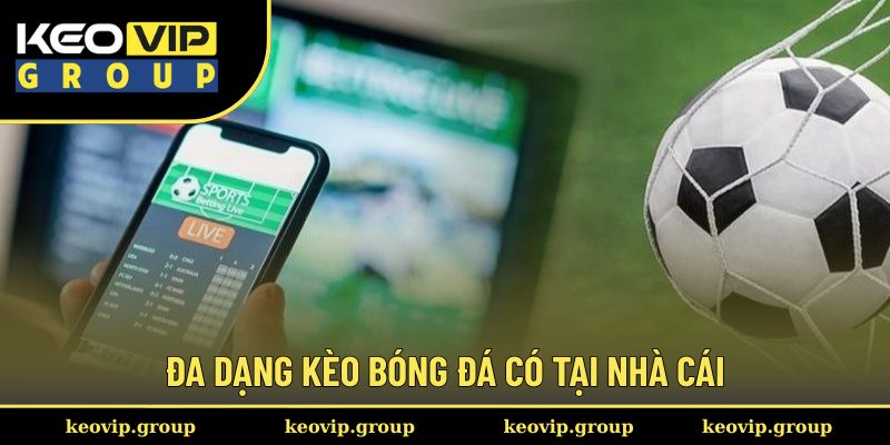Đa dạng kèo bóng đá có tại trang web