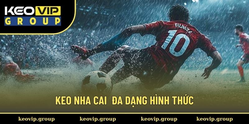 Keo nha cai đa dạng hình thức khác nhau
