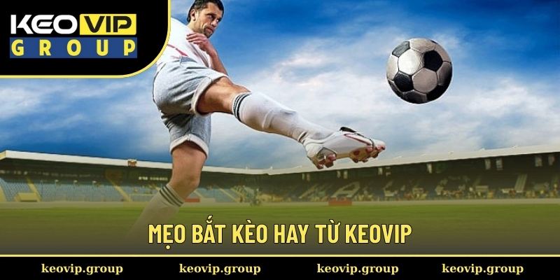 Mẹo bắt kèo hay từ Keovip