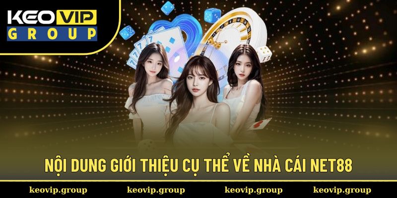 Net88 - Sân Chơi Trực Tuyến Uy Tín Đáng Trải Nghiệm 2025 1 Nội dung giới thiệu cụ thể về nhà cái Net88