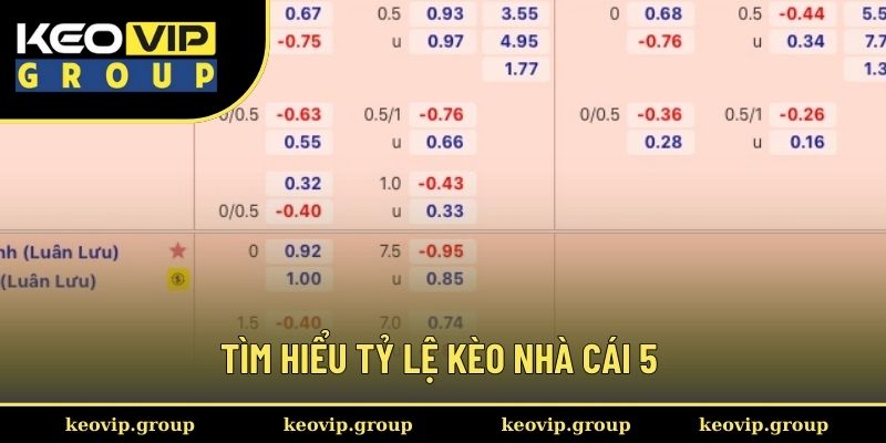 Tìm hiểu tỷ lệ kèo nhà cái 5 chính xác nhất