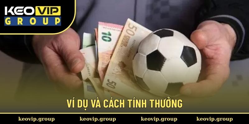 Kèo Chấp 1/75 || Cách Đọc Kèo Và Mẹo Soi Cược Từ Keovip 2 Ví dụ và cách tính thưởng